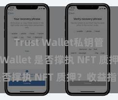 Trust Wallet私钥管理 Trust Wallet 是否撑执 NFT 质押？收益指南