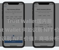 Trust Wallet国内能用吗 Trust Wallet 何如识别 NFT 价值？商场分析指南