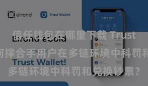 信任钱包在哪里下载 Trust Wallet若何撑合手用户在多链环境中科罚和兑换钞票？